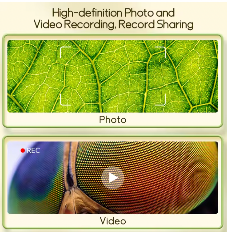 Kids’ Mini Handheld Microscope with 2” IPS Screen